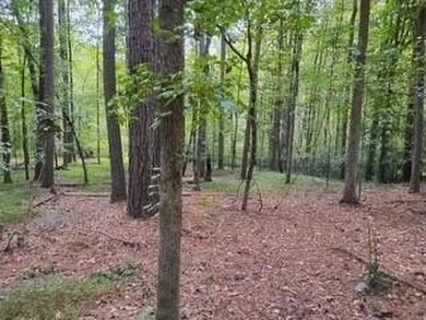 Experience unparalleled Luxury in this rare, to-be- built new on Country Club of the South in Georgia - for sale on GolfHomes.com, golf home, golf lot