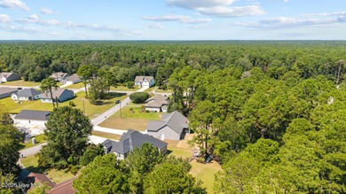 Welcome to this thoughtfully crafted Southport Floor Plan with a on Harbour Point Golf Club in North Carolina - for sale on GolfHomes.com, golf home, golf lot