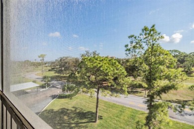 Nestled in the serene and popular Cove Cay Village IV, this on Cove Cay Country Club in Florida - for sale on GolfHomes.com, golf home, golf lot