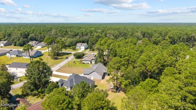 Welcome to this thoughtfully designed Southport Floor Plan with on Harbour Point Golf Club in North Carolina - for sale on GolfHomes.com, golf home, golf lot