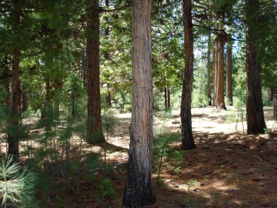 Approximately 1.17-acre lot located within the gated community on Grizzly Ranch Golf Club in California - for sale on GolfHomes.com, golf home, golf lot