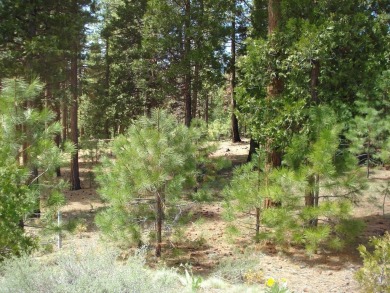 Approximately 1.17-acre lot located within the gated community on Grizzly Ranch Golf Club in California - for sale on GolfHomes.com, golf home, golf lot
