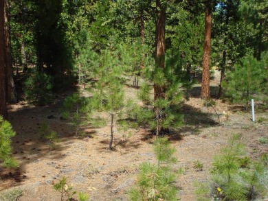 Approximately 1.17-acre lot located within the gated community on Grizzly Ranch Golf Club in California - for sale on GolfHomes.com, golf home, golf lot