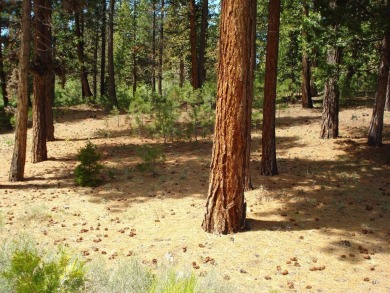 Approximately 1.17-acre lot located within the gated community on Grizzly Ranch Golf Club in California - for sale on GolfHomes.com, golf home, golf lot