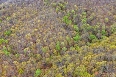 This beautiful vacant lot is more than just land - it's a rare on Bent Tree Golf Course in Georgia - for sale on GolfHomes.com, golf home, golf lot