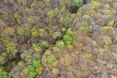 This beautiful vacant lot is more than just land - it's a rare on Bent Tree Golf Course in Georgia - for sale on GolfHomes.com, golf home, golf lot
