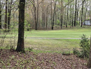 overlooking 6th fairway with beautiful views! Come join the fun on Diamondhead Golf and Country Club in Arkansas - for sale on GolfHomes.com, golf home, golf lot