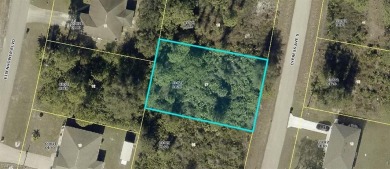 GREAT OPPORTUNITY TO BUILD YOUR DREAM HOME OR INVEST!! This on Mirror Lakes Golf Club in Florida - for sale on GolfHomes.com, golf home, golf lot