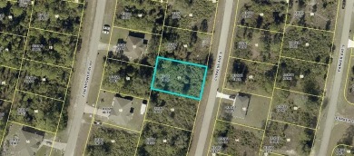 GREAT OPPORTUNITY TO BUILD YOUR DREAM HOME OR INVEST!! This on Mirror Lakes Golf Club in Florida - for sale on GolfHomes.com, golf home, golf lot