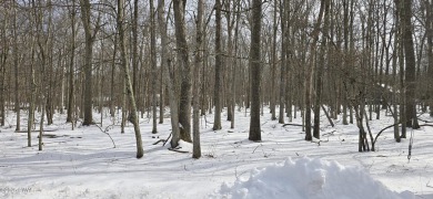 Discover a rare double lot opportunity in Fawn Lake Forest--a on Forest Lake Club in Pennsylvania - for sale on GolfHomes.com, golf home, golf lot