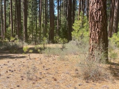 Lot 43 boasts a generous .80-acre expanse, ideal for crafting on Whitehawk Ranch Golf Club in California - for sale on GolfHomes.com, golf home, golf lot