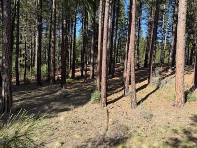 Lot 42 boasts a generous .93-acre expanse, ideal for crafting on Whitehawk Ranch Golf Club in California - for sale on GolfHomes.com, golf home, golf lot