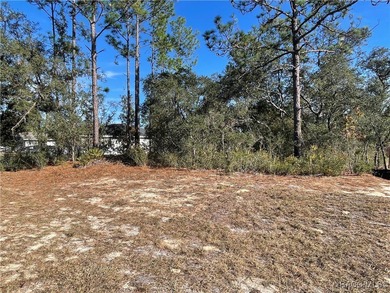 Great Citrus Springs lot to build your dream home on! The lot is on Pine Ridge Community Golf and Country Club in Florida - for sale on GolfHomes.com, golf home, golf lot