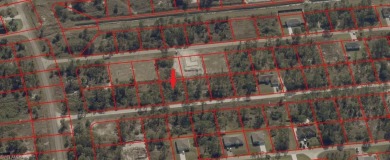 GREAT OPPORTUNITY!! This Beautiful 0.23 Acre Lot Located in East on Mirror Lakes Golf Club in Florida - for sale on GolfHomes.com, golf home, golf lot
