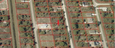 GREAT OPPORTUNITY!! This Beautiful 0.23 Acre Lot Located in East on Mirror Lakes Golf Club in Florida - for sale on GolfHomes.com, golf home, golf lot