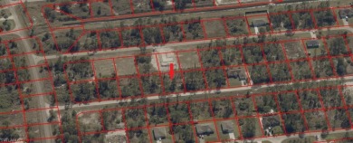 GREAT OPPORTUNITY!! This Beautiful 0.23 Acre Lot Located in East on Mirror Lakes Golf Club in Florida - for sale on GolfHomes.com, golf home, golf lot