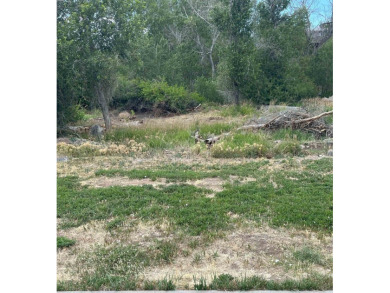 Build Your Dream Home in the Heart of Cedaredge! Discover the on Cedaredge Golf Course in Colorado - for sale on GolfHomes.com, golf home, golf lot