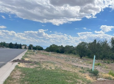 Build Your Dream Home in the Heart of Cedaredge! Discover the on Cedaredge Golf Course in Colorado - for sale on GolfHomes.com, golf home, golf lot