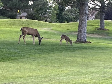 Build Your Dream Home in the Heart of Cedaredge! Discover the on Cedaredge Golf Course in Colorado - for sale on GolfHomes.com, golf home, golf lot