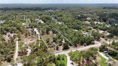 PENDING DEP REPORT TO BE COMPLETED SOON. This rarely available 2 on The Club At Twin Eagles in Florida - for sale on GolfHomes.com, golf home, golf lot