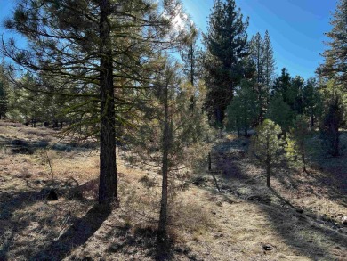 Discover the ideal setting for your dream home on this scenic on Nakoma Golf Resort in California - for sale on GolfHomes.com, golf home, golf lot