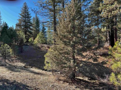 Discover the ideal setting for your dream home on this scenic on Nakoma Golf Resort in California - for sale on GolfHomes.com, golf home, golf lot