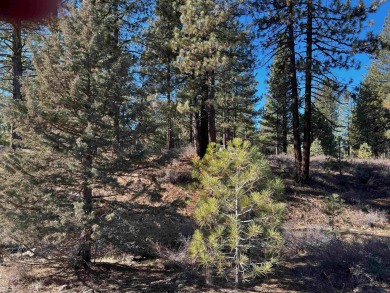 Discover the ideal setting for your dream home on this scenic on Nakoma Golf Resort in California - for sale on GolfHomes.com, golf home, golf lot