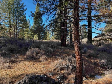 Discover the ideal setting for your dream home on this scenic on Nakoma Golf Resort in California - for sale on GolfHomes.com, golf home, golf lot