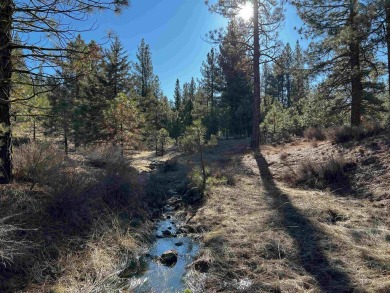 Discover the ideal setting for your dream home on this scenic on Nakoma Golf Resort in California - for sale on GolfHomes.com, golf home, golf lot