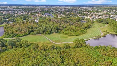 NEW ROOF ~ NEW KITCHEN ~ POND VIEW ~ NO REAR NEIGHBORS ~ HUGE on Summerfield Crossing Golf Club in Florida - for sale on GolfHomes.com, golf home, golf lot