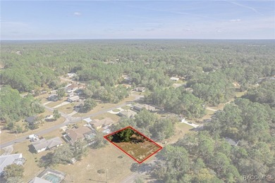 Cleared, flat, and elevated above the road, this ready-to-build on Citrus Springs Country Club in Florida - for sale on GolfHomes.com, golf home, golf lot