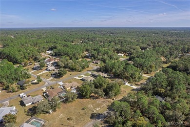 Cleared, flat, and elevated above the road, this ready-to-build on Citrus Springs Country Club in Florida - for sale on GolfHomes.com, golf home, golf lot