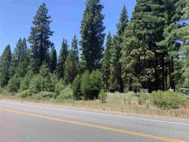 1.23 acres zoned C-2 on the Lake Almanor Peninsula. Not many on Bailey Creek Golf Course in California - for sale on GolfHomes.com, golf home, golf lot