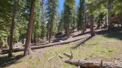 Here's your opportunity to own 9 estate-sized, half-acre Single on Snowcreek Resort Golf Course in California - for sale on GolfHomes.com, golf home, golf lot