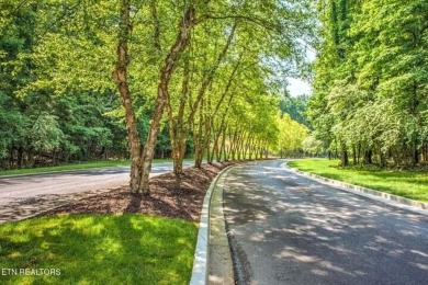 This stunningly upgraded home seamlessly blends style and on Tennessee National Golf Club in Tennessee - for sale on GolfHomes.com, golf home, golf lot