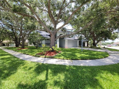 One or more photo(s) has been virtually staged. Practically a on Summerfield Crossing Golf Club in Florida - for sale on GolfHomes.com, golf home, golf lot