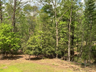 Nestled in the scenic North Georgia mountains, this charming 2 on White Path Golf Club in Georgia - for sale on GolfHomes.com, golf home, golf lot