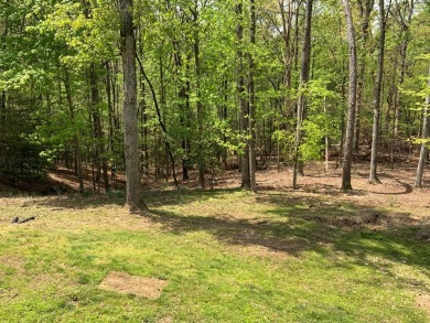 Nestled in the scenic North Georgia mountains, this charming 2 on White Path Golf Club in Georgia - for sale on GolfHomes.com, golf home, golf lot