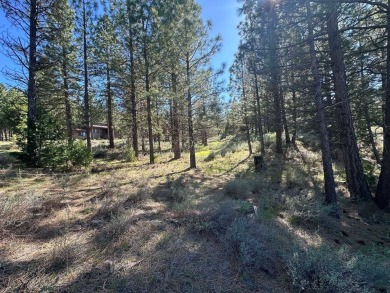 Exceptional Golf Course Lot in Prestigious Nakoma Community With on Nakoma Golf Resort in California - for sale on GolfHomes.com, golf home, golf lot