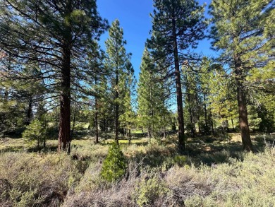 Exceptional Golf Course Lot in Prestigious Nakoma Community With on Nakoma Golf Resort in California - for sale on GolfHomes.com, golf home, golf lot