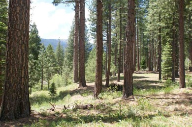 Large Acre parcel perched above seasonal creek with views of the on Whitehawk Ranch Golf Club in California - for sale on GolfHomes.com, golf home, golf lot