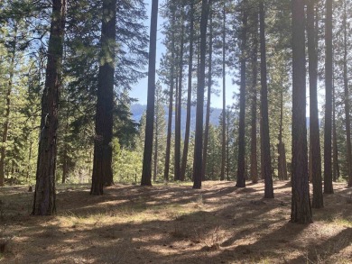 Large wooded parcel on 1.27 acre at Whitehawk Ranch with on Whitehawk Ranch Golf Club in California - for sale on GolfHomes.com, golf home, golf lot