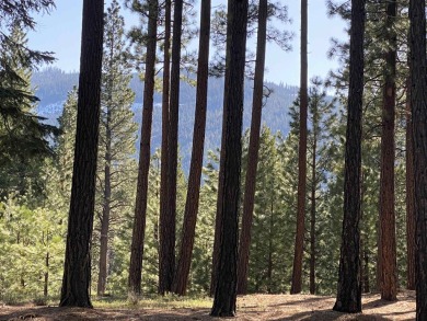 Large wooded parcel on 1.27 acre at Whitehawk Ranch with on Whitehawk Ranch Golf Club in California - for sale on GolfHomes.com, golf home, golf lot