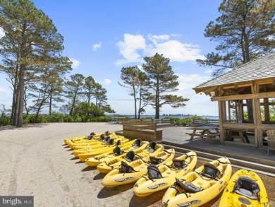 Discover the perfect coastal retreat in the award-winning on Bayside Resort Golf Club in Delaware - for sale on GolfHomes.com, golf home, golf lot