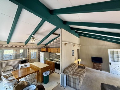 This darling little Lake Almanor Country Club cabin could be the on Lake Almanor Country Club in California - for sale on GolfHomes.com, golf home, golf lot