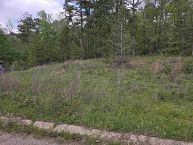 This lot is a builder's dream... in upscale neighborhood and the on Diamondhead Golf and Country Club in Arkansas - for sale on GolfHomes.com, golf home, golf lot