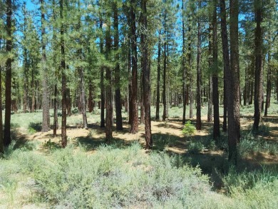 CREEK SIDE HAVEN.ONE OF NAKOMA'S BEST  LOTS.  FLAT EASY BUILD on Nakoma Golf Resort in California - for sale on GolfHomes.com, golf home, golf lot