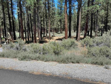 CREEK SIDE HAVEN.ONE OF NAKOMA'S BEST  LOTS.  FLAT EASY BUILD on Nakoma Golf Resort in California - for sale on GolfHomes.com, golf home, golf lot