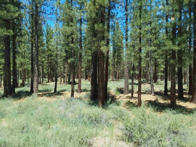 CREEK SIDE HAVEN.ONE OF NAKOMA'S BEST  LOTS.  FLAT EASY BUILD on Nakoma Golf Resort in California - for sale on GolfHomes.com, golf home, golf lot