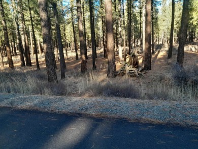 CREEK SIDE HAVEN.ONE OF NAKOMA'S BEST  LOTS.  FLAT EASY BUILD on Nakoma Golf Resort in California - for sale on GolfHomes.com, golf home, golf lot